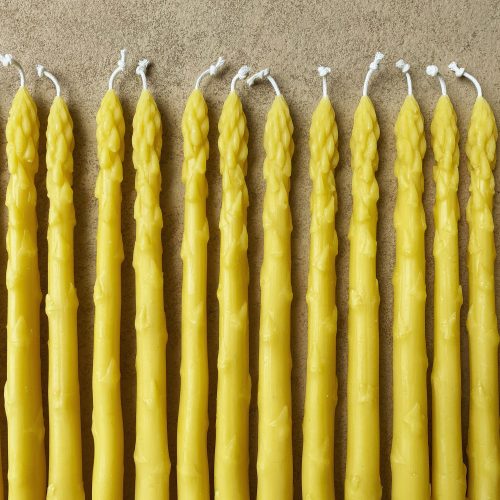 Asparagus Tapers, Set of 2 - Gessato Design Store