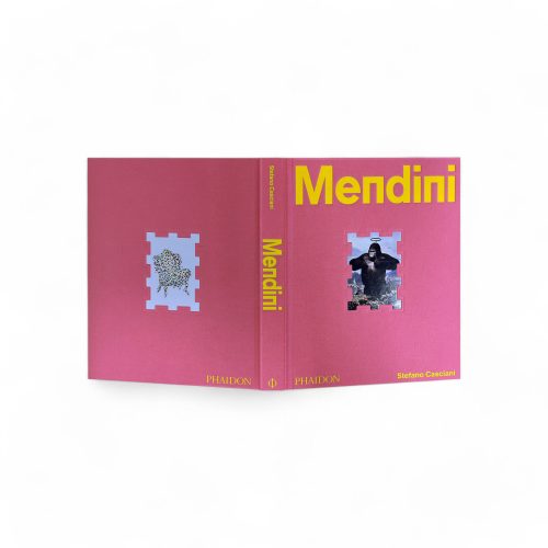 alessandro-mendini-imagination-takes-command-9