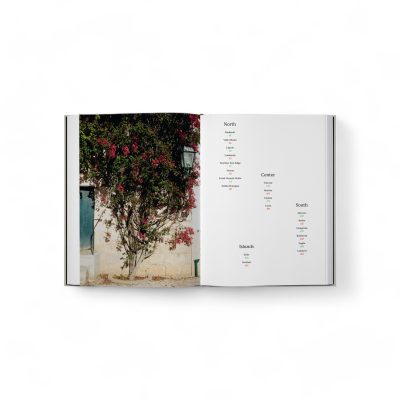 the-regional-italian-cookbook-recipes-from-the-silver-spoon-3