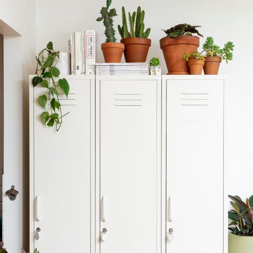 the-skinny-metal-locker-storage-cabinet-5