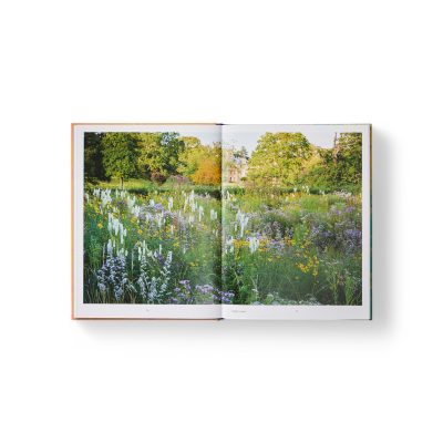 wild-the-beauty-of-naturalistic-gardens-5