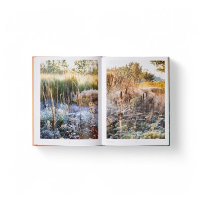 wild-the-beauty-of-naturalistic-gardens-6