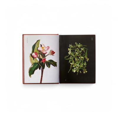edible-flowers-book-gessato-4