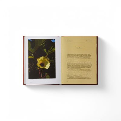 edible-flowers-book-gessato-5