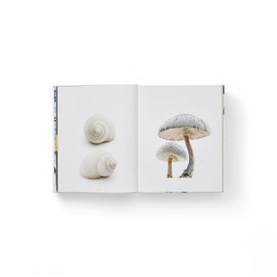 still-the-art-of-noticing-gessato-4