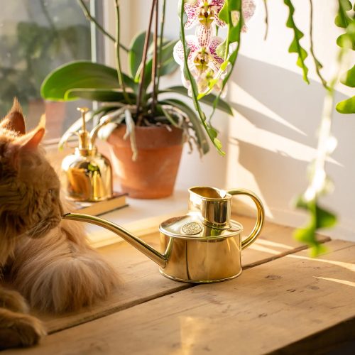 the-fazeley-flow-brass-one-pint-1