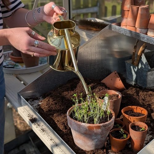 the-fazeley-flow-brass-two-pint-4