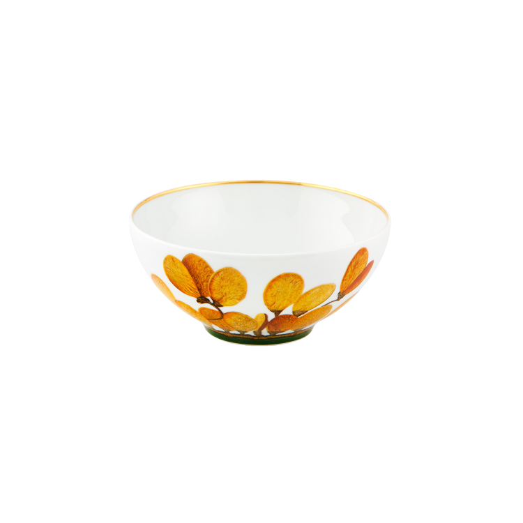 Amazonia Cereal Bowl