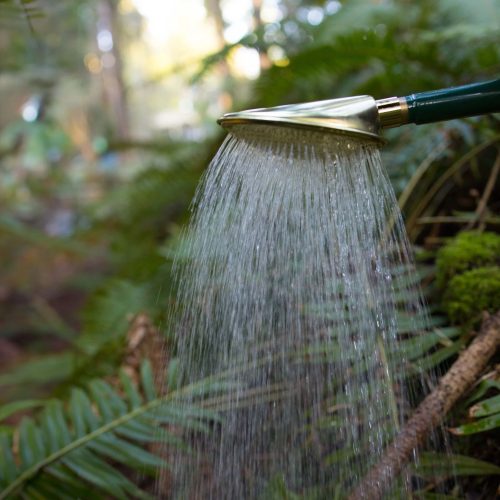 haws-brass-bedding-rose-set-gessato-7