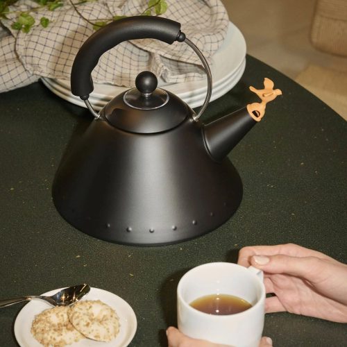 alessi-9093-bird-whistle-kettle-40th-anniversary-black-edition-gessato-3