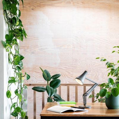 anglepoise-90-mini-mini-desk-lamp-gessato-26