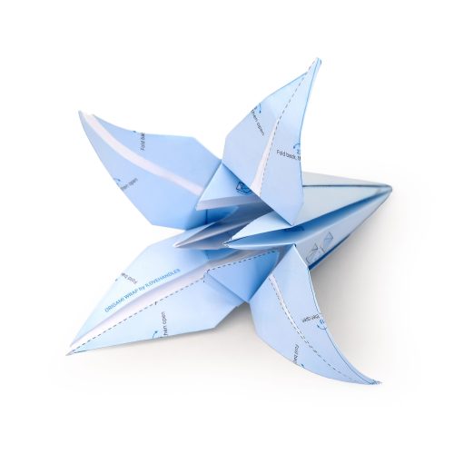 origami-wrap-4