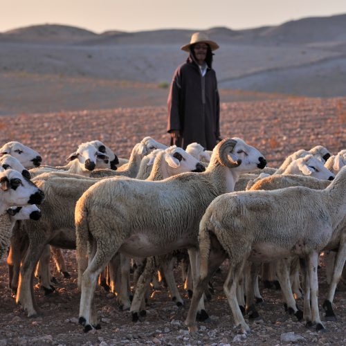 gestalten-remote-places-to-stay-volume-2-gessato-18