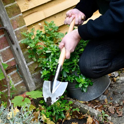 perennial-spade-rhs-2