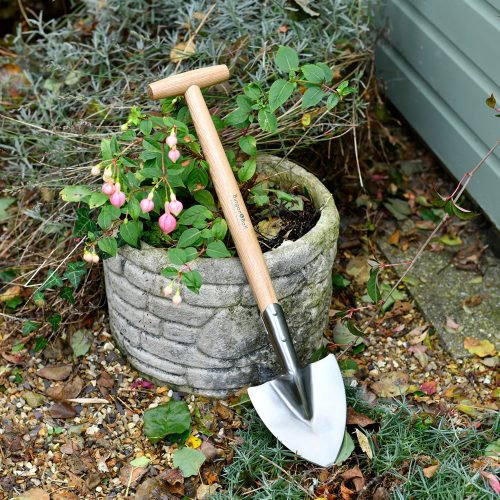 perennial-spade-rhs-3