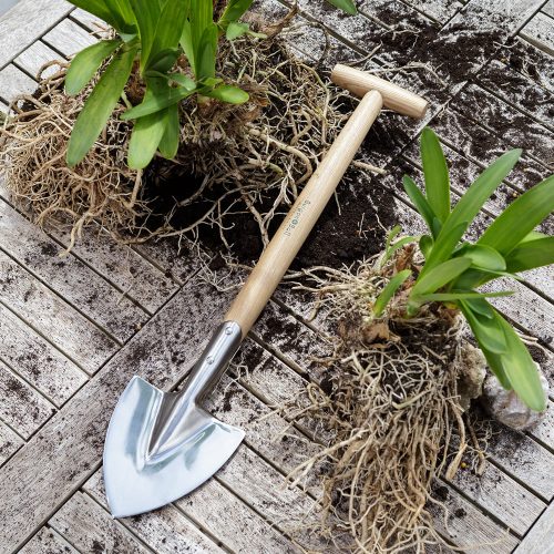 perennial-spade-rhs-5