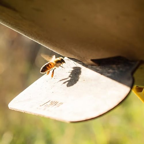 hiive-flight-deck-gessato-2