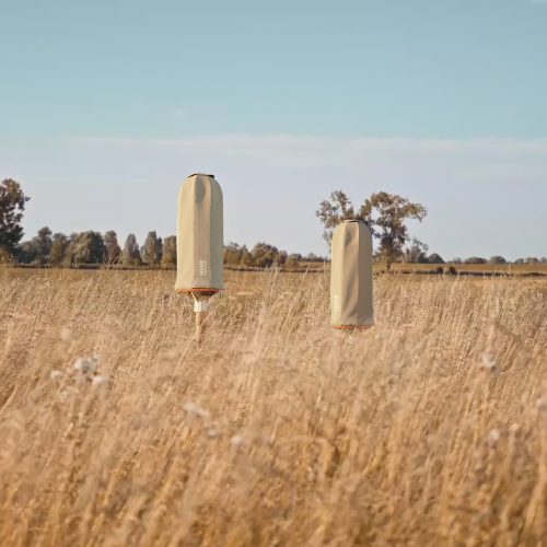 hiive-hollow-trunk-beehive-gessato-5