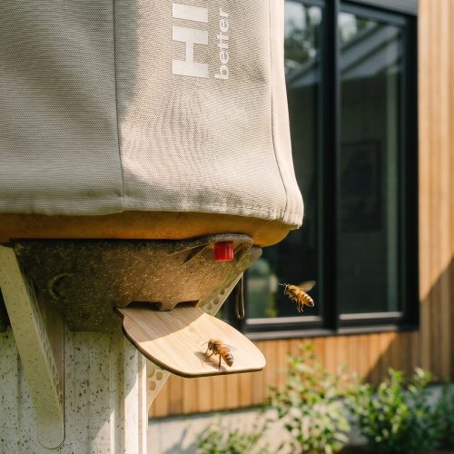 hiive-hollow-trunk-beehive-gessato-store-19