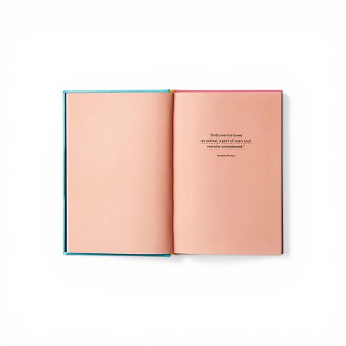 pet-tecture-design-for-pets-gessato-4