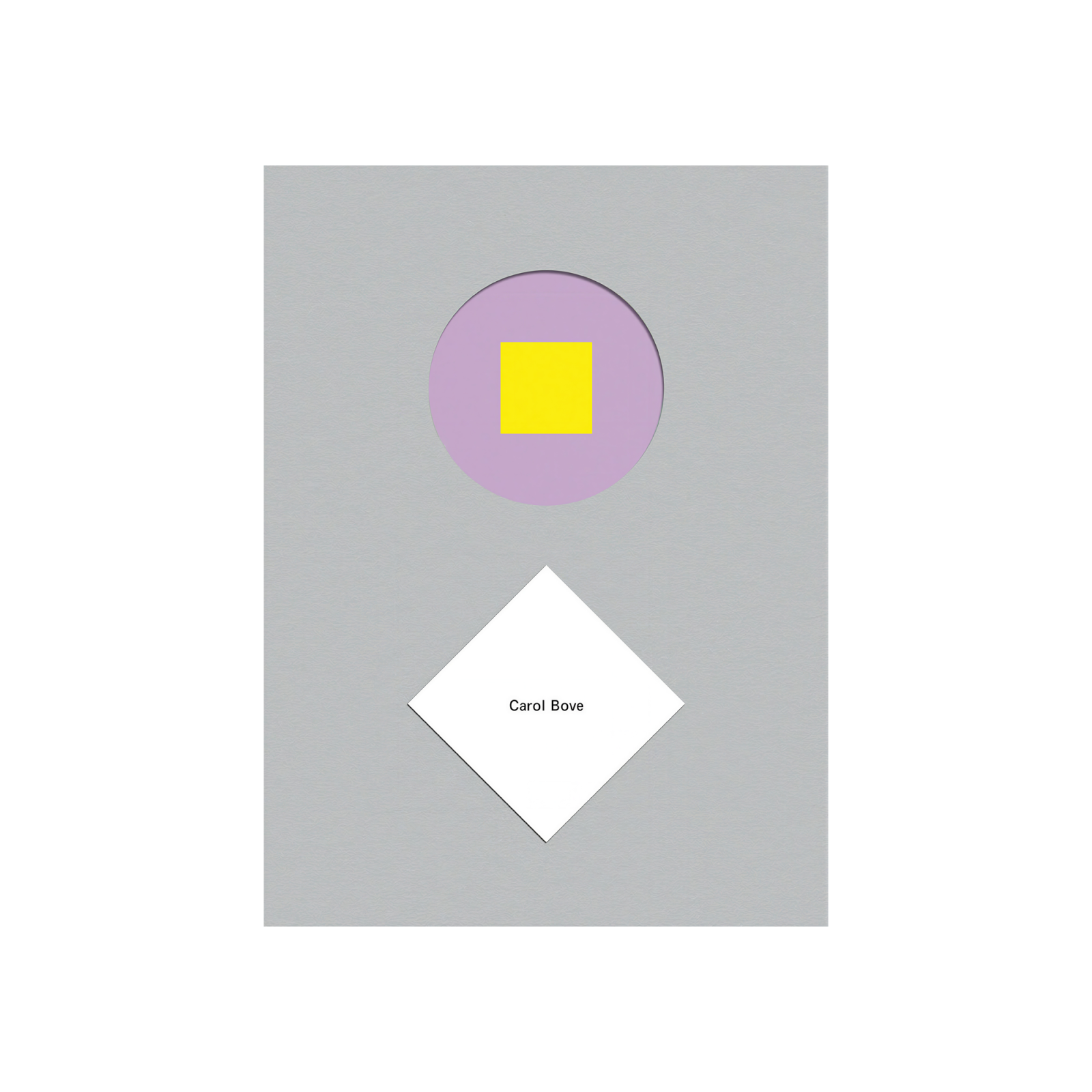 rizzoli-carol-bove- book-gessato-1