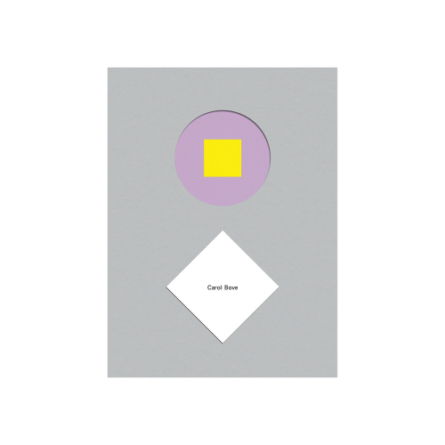 rizzoli-carol-bove- book-gessato-1