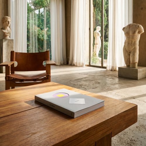 rizzoli-carol-bove--book-gessato-10