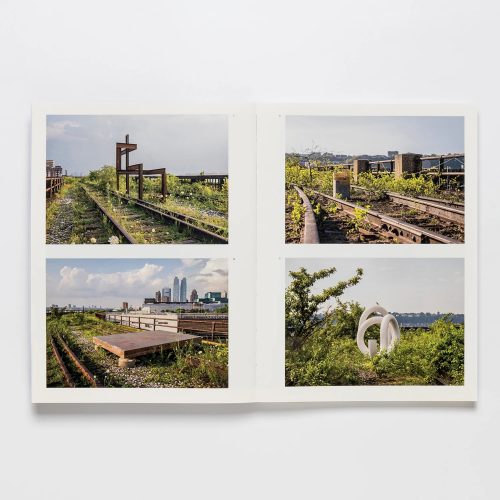 rizzoli-carol-bove- book-gessato-2