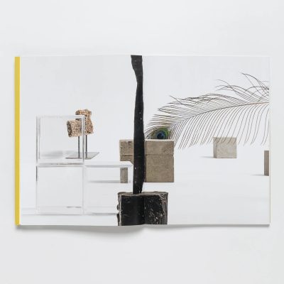 rizzoli-carol-bove- book-gessato-5
