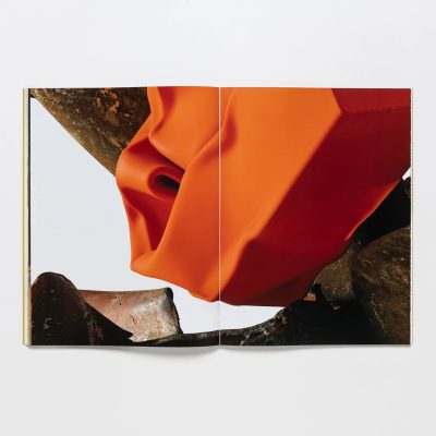 rizzoli-carol-bove- book-gessato-7