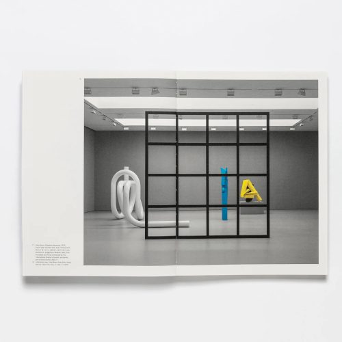 rizzoli-carol-bove- book-gessato-8