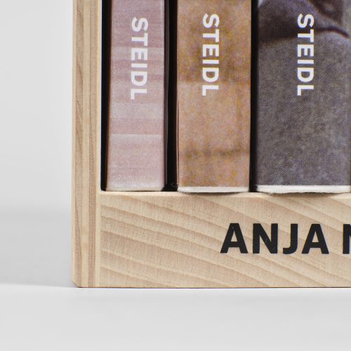 anja-niedringhaus-photography-book-gessato-4