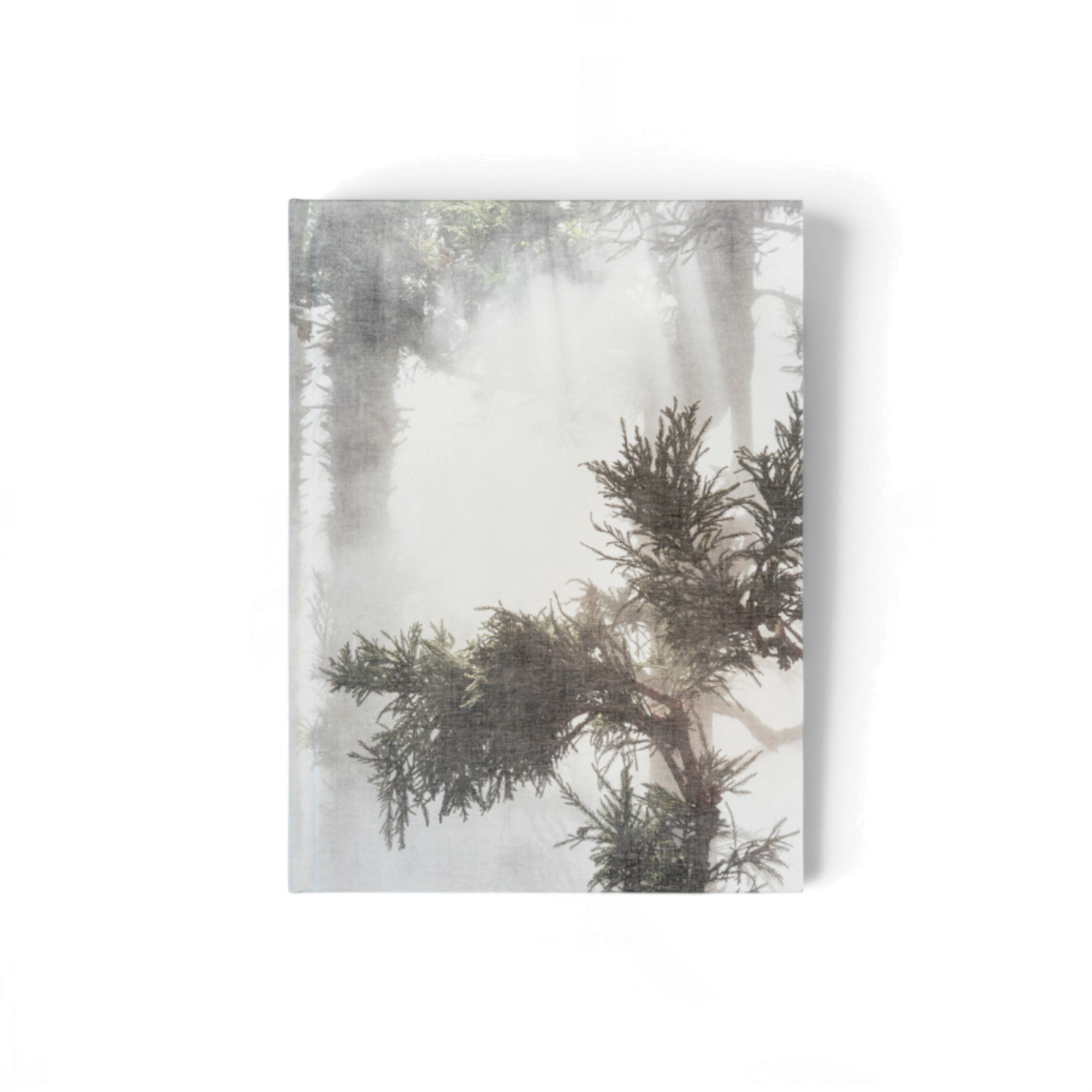 curas-garden-book-gessato-0