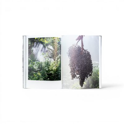 curas-garden-book-gessato-10