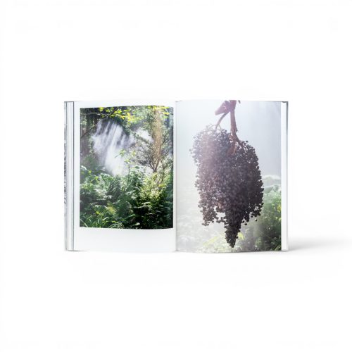 curas-garden-book-gessato-10