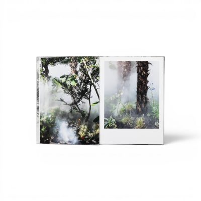 curas-garden-book-gessato-2