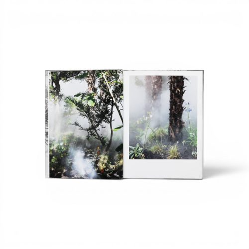 curas-garden-book-gessato-2
