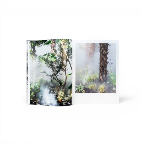 curas-garden-book-gessato-5