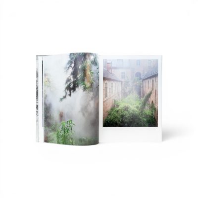 curas-garden-book-gessato-6