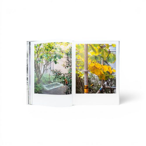 curas-garden-book-gessato-7