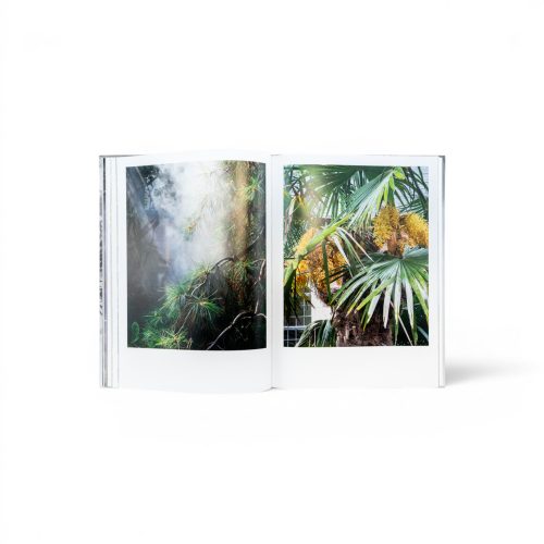 curas-garden-book-gessato-8