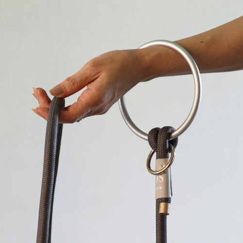fos-leash-2