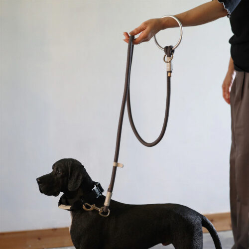fos-leash-7