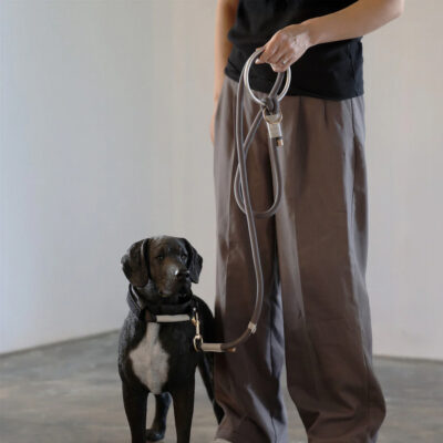 fos-leash-8