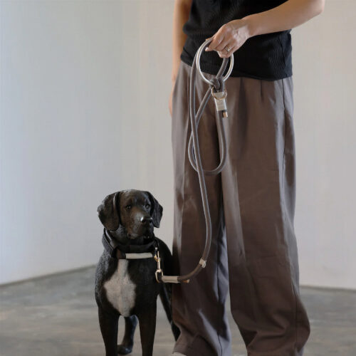 fos-leash-8