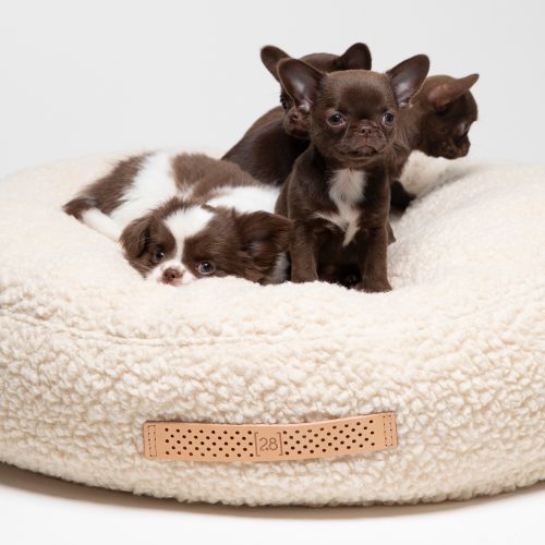 fulvio-round-dog-cushion-gessato-23