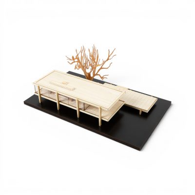 little-building-co-farnsworth-house-plano-illinois-gessato-10