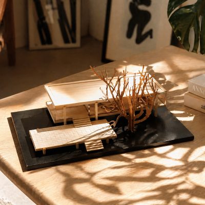 lifestyle picutures