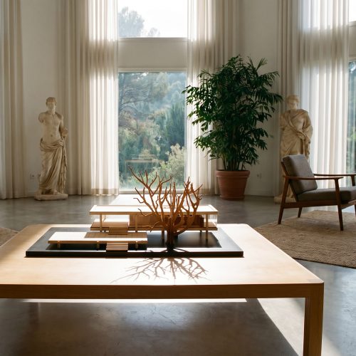 little-building-co-farnsworth-house-plano-illinois-gessato-4