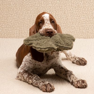 mimmo-dog-toy-5